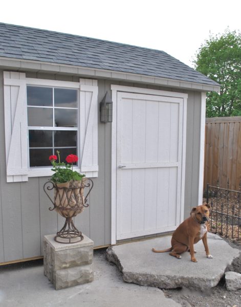 Back yard area repurposed concrete as a step small garden shed