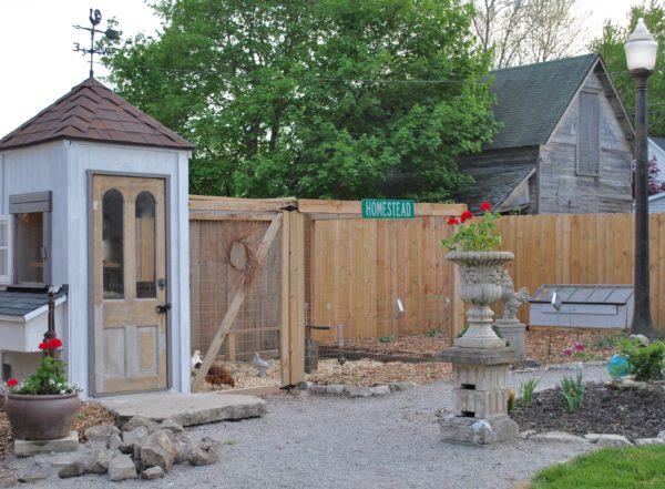 Back yard area repurposed concrete as a step chicken coop