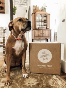 The Farmer's Dog - Real Food Made Fresh for Ivy