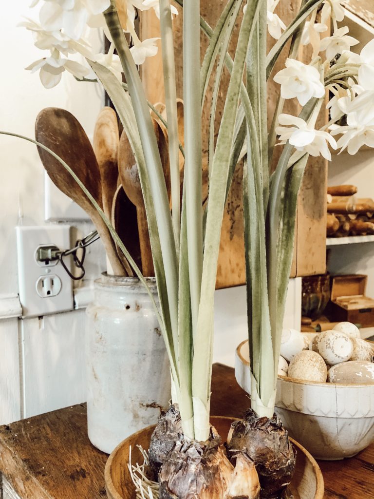 How to Turn a Chandelier into a Plugin Deb and Danelle