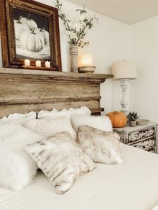 Lush Bedding and Fur Pillows