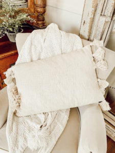 Tassel pillow and throw