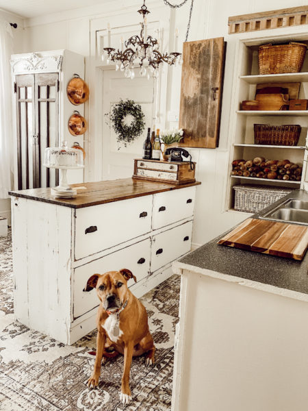 Styling Open Shelves for Organization in a Small Kitchen - Deb and Danelle