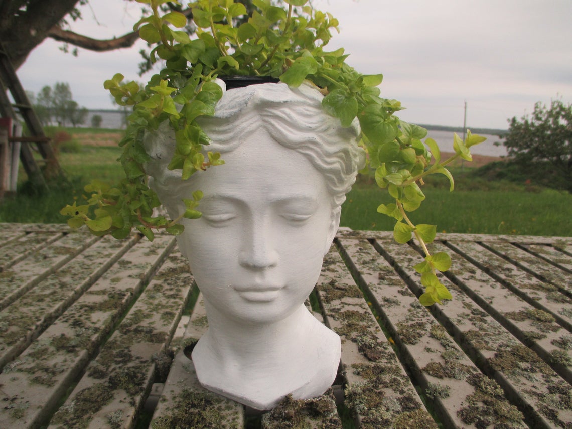 The best bust planters