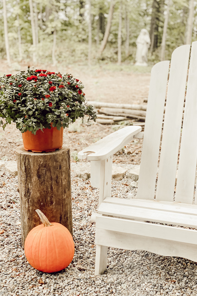 Fall Decor in the woods