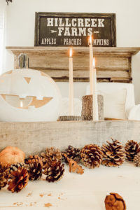 Rustic Fall Coffee Table - Deb and Danelle