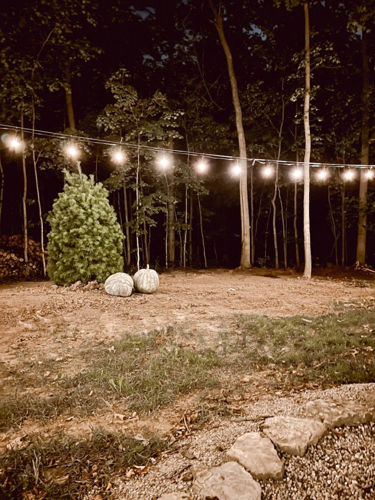 String Lights around the Fire Pit and New White Pine Deb and Danelle
