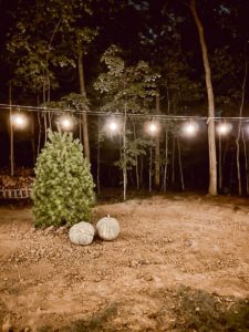 How to hang string lights outside - Deb and Danelle