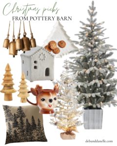 Pottery Barn - Deb and Danelle