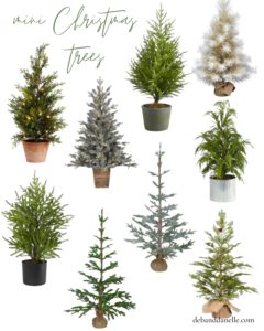 The Best Small Christmas Trees