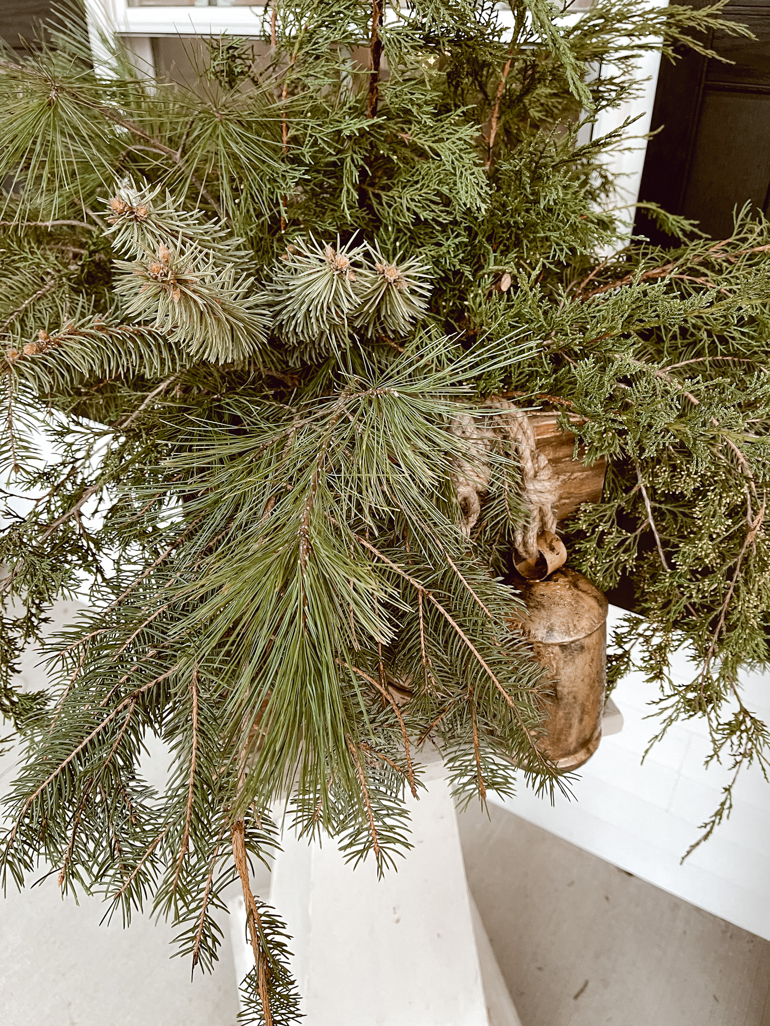 DIY Evergreen Planter for the Winter - Deb and Danelle
