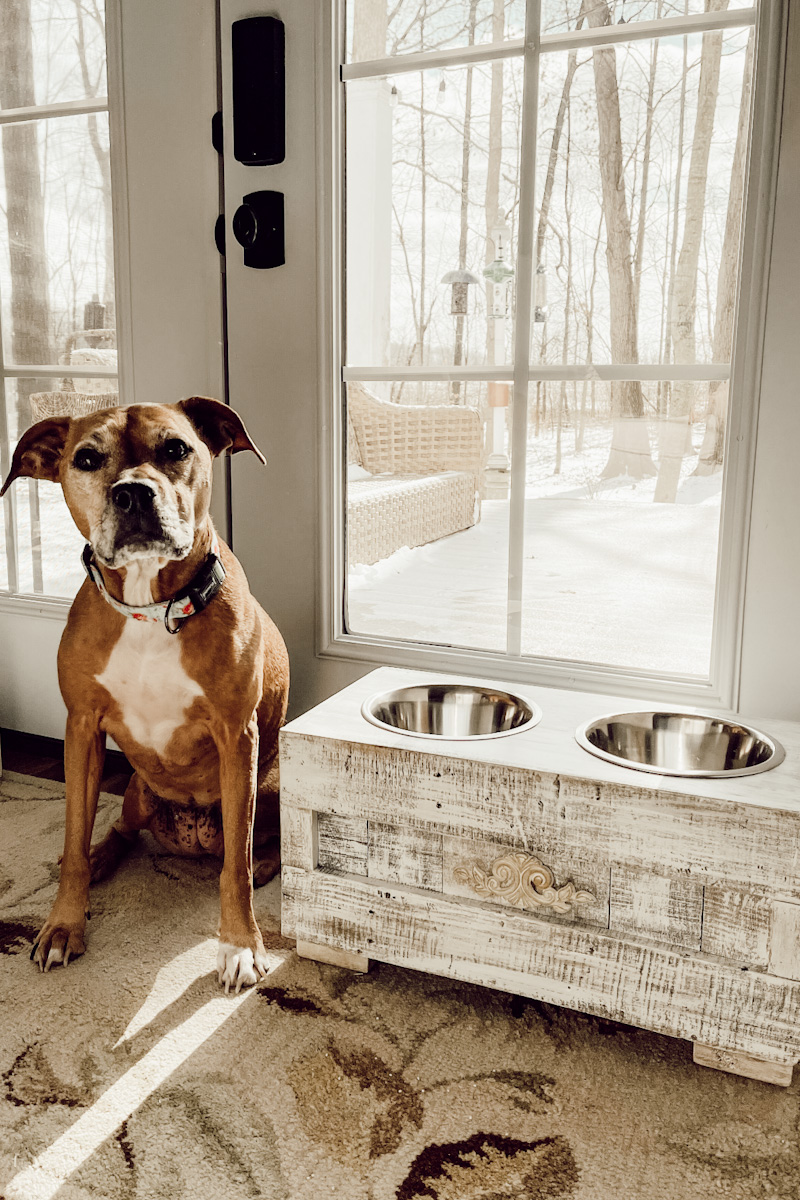 Transformation Tuesday: DIY Dog Bowl Stand - Deb and Danelle