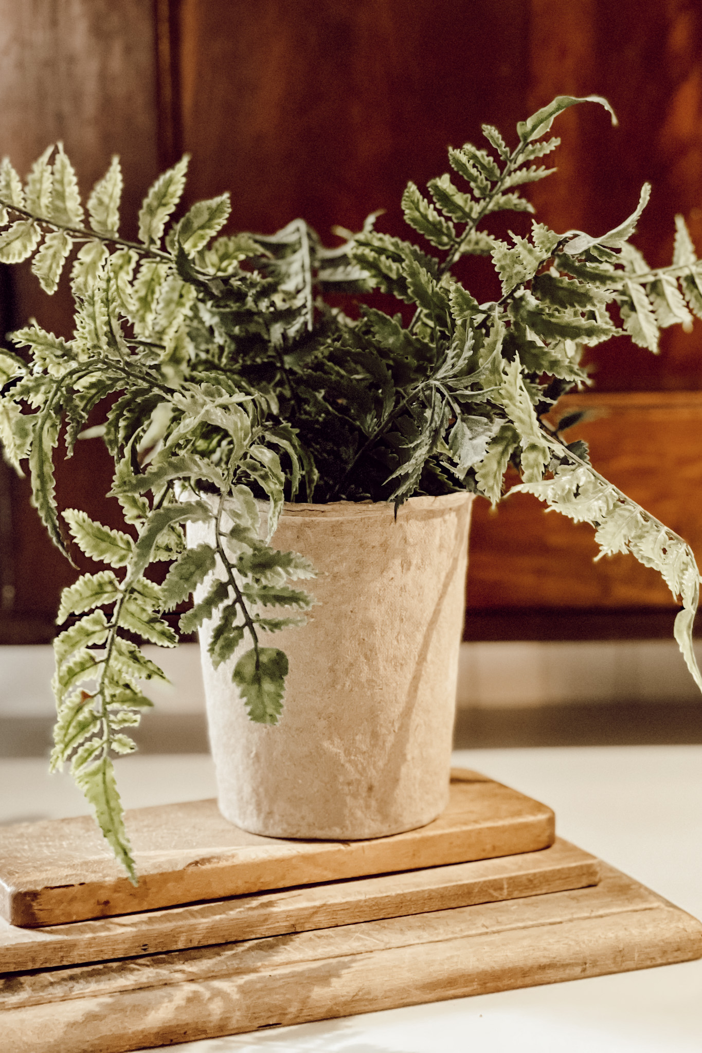 The Best Artificial Plants - Deb and Danelle