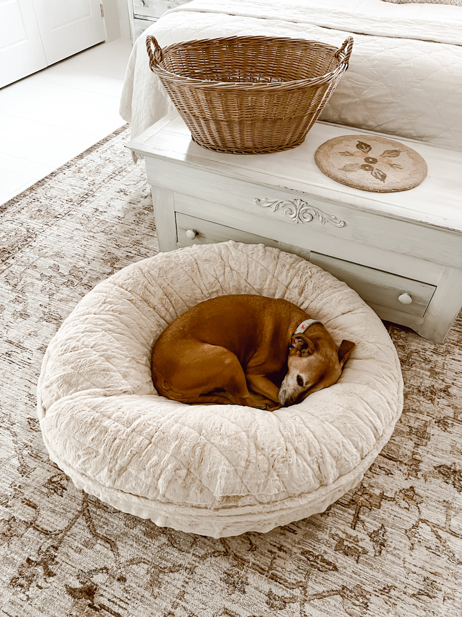 Bessie and Barnie Dog Bed for Ivy