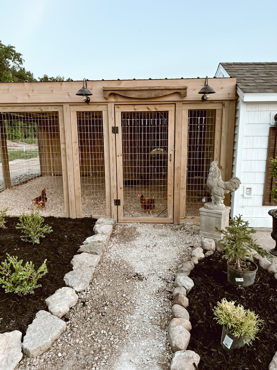 Chicken coop - Deb and Danelle