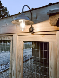 Solar lights on chicken coop