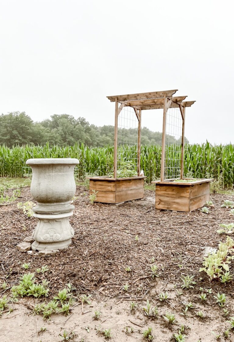 Gardening 101 with Deb and Danelle - Deb and Danelle